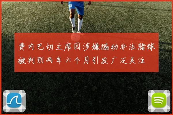 费内巴切主席因涉嫌煽动非法赌球被判刑两年六个月引发广泛关注